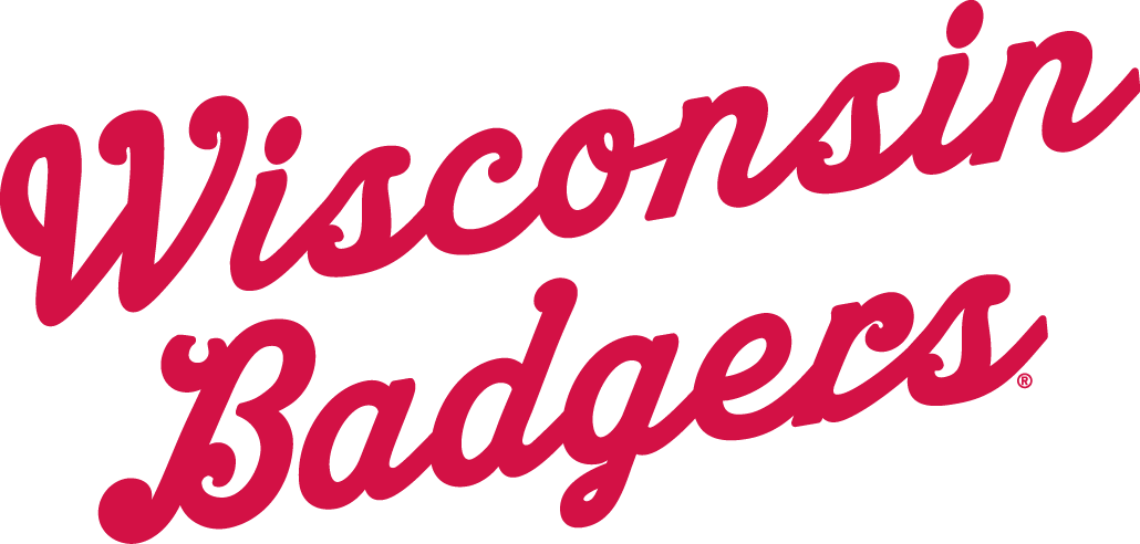 Wisconsin Badgers 1961-1969 Wordmark Logo iron on paper